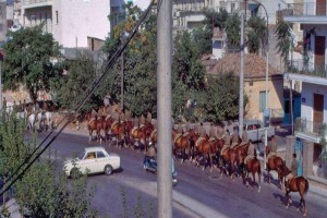 Απίστευτες εικόνες της Αθήνας του ’60 -Οταν πρόβατα και άλογα κυκλοφορούσαν στους δρόμους της πρωτεύουσας