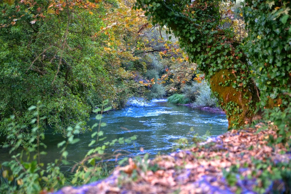 You are currently viewing Ιερέας κάνει ό,τι μπορεί για να είναι καθαρός ο ποταμός Καλαμάς