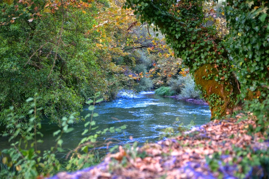 Ιερέας κάνει ό,τι μπορεί για να είναι καθαρός ο ποταμός Καλαμάς