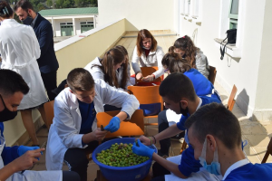 Μαθητές Σχολείου της Μητρόπολης Αργυροκάστρου μάζεψαν και ετοίμασαν ελιές…