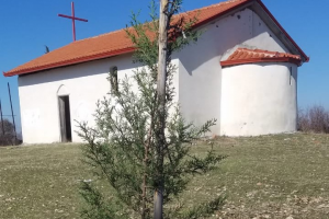 Παιδιά και νέοι φύτεψαν δένδρα σε δέκα ναούς!