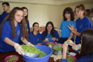 Μαθητές/τριες σχολείου της Μητρόπολης Αργυροκάστρου μάζεψαν και ετοίμασαν ελιές!
