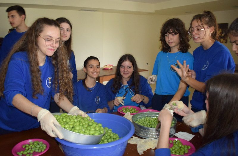 You are currently viewing Μαθητές/τριες σχολείου της Μητρόπολης Αργυροκάστρου μάζεψαν και ετοίμασαν ελιές!