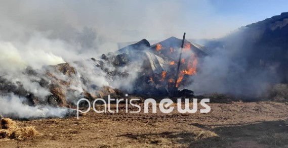 You are currently viewing Κάηκε ολοσχερώς στάβλος στην Πέρσαινα – Τεράστια η καταστροφή